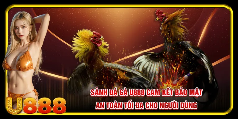 Sảnh đá gà U888 cam kết bảo mật an toàn tối đa cho người dùng