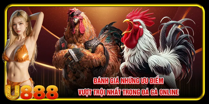 Đánh giá những ưu điểm vượt trội nhất trong đá gà online